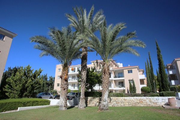 Relaxed Mediterranean Lifestyle